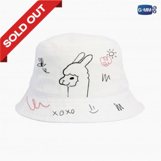 VICE VERSA SERIES BUCKET HAT | หมวก VICE VERSA รักสลับโลก