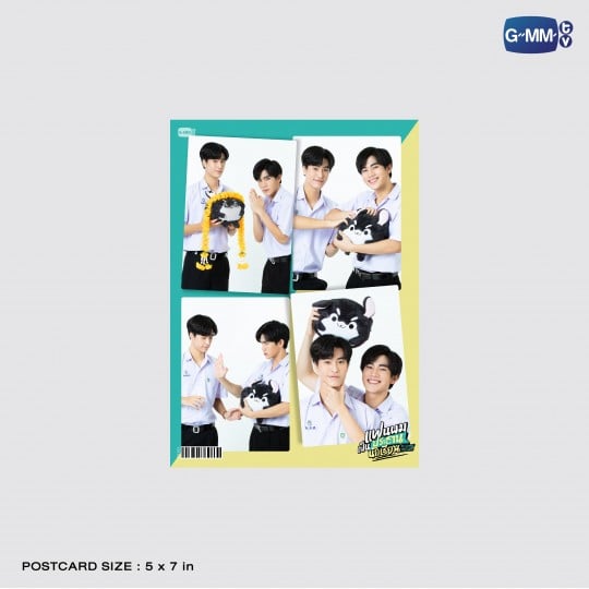CHINZHILLA HAND WARMER PILLOW | หมอนสอดมือชินชิลล่า