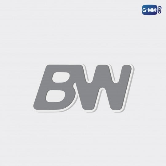 BW RUBBER MAGNET