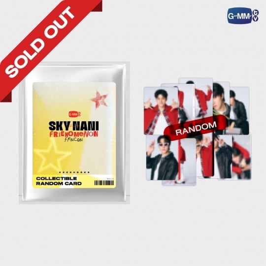 その他 Sky Nani Frienomenon Fancon DVD BOXSET SKY-NANI FRIENOMENON FANCON